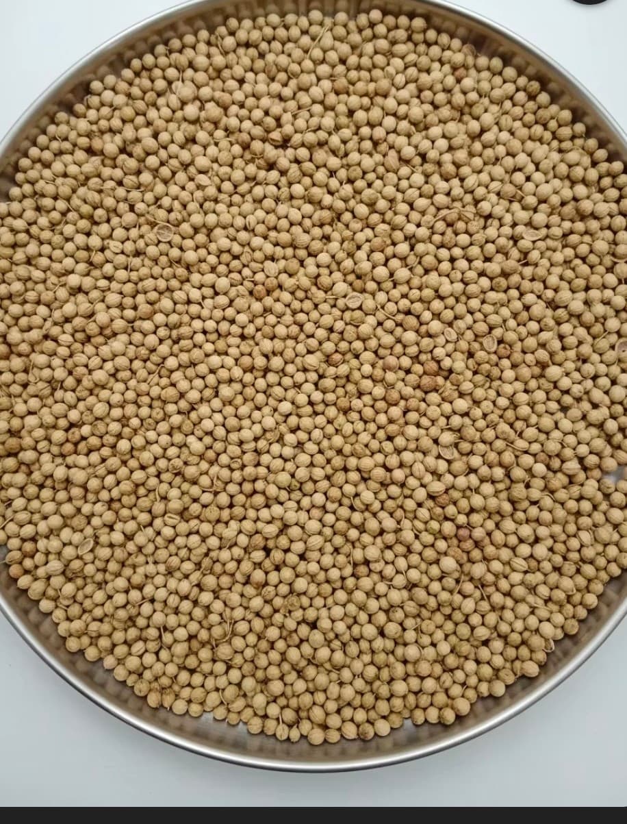 تصویر 1 از تهیه گشنیز نهاوند جهت ارسال برنامه ریزی شده به استانهای غرب کشور